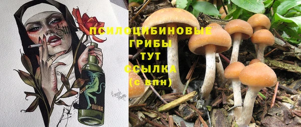 дмт Абинск