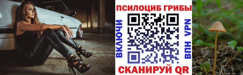 Галлюциногенные грибы прущие грибы  даркнет сайт  Красноперекопск 